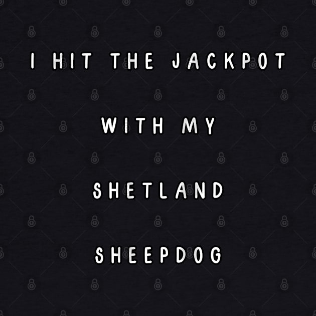 I hit the jackpot with my Shetland Sheepdog by Project Charlie